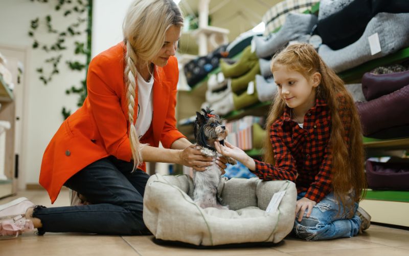 Hondenmand kopen in de winkel