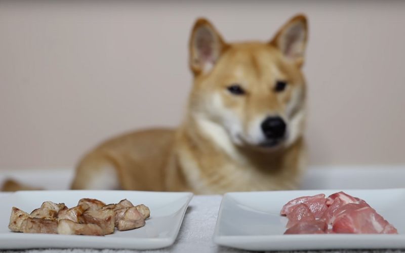 Rauw of gekookt vlees voor honden