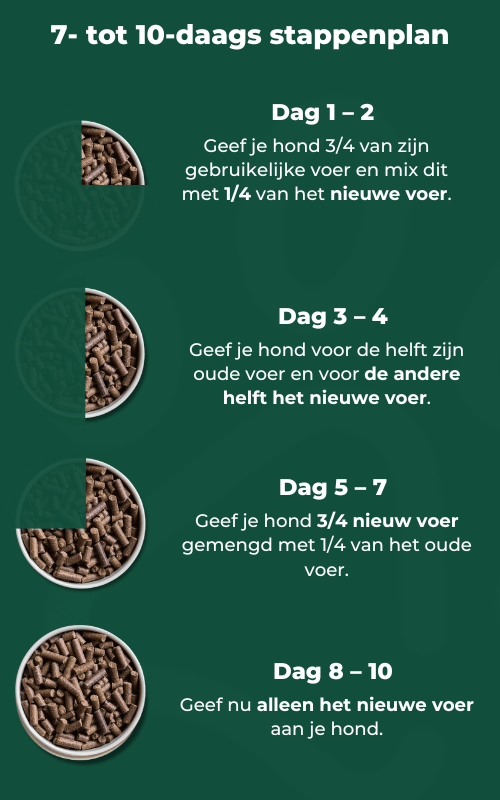 stappenplan overstap hondenvoer