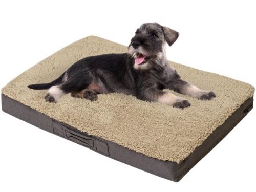 Sun Garden Buddy Orthopedisch Hondenkussen